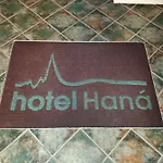 Wellness Haná Hotel