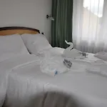 Hotel Wellness Haná 3*