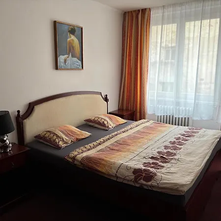 Wellness Hana Mariánské Lázně