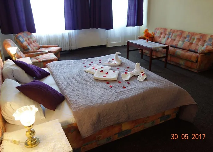 Wellness Hana 호텔 3*