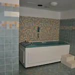 Wellness Haná 3*