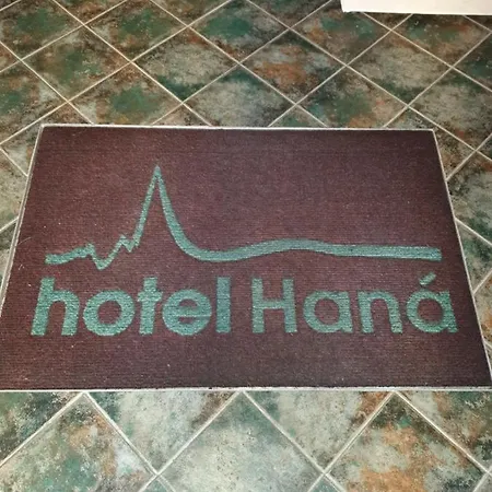 Wellness Haná Hotel