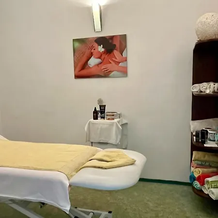 Wellness Haná 3*